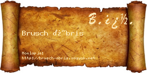 Brusch Ábris névjegykártya